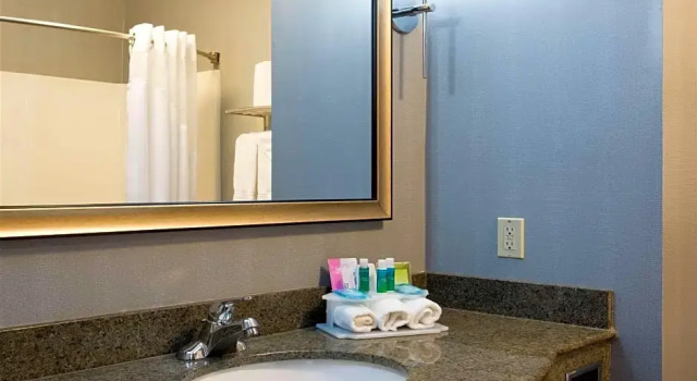 Одноместный номер Deluxe Holiday Inn Express & Suites Danville by IHG