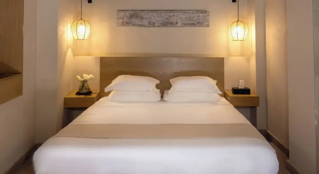 Номер Standard Orchid House Coyoacán