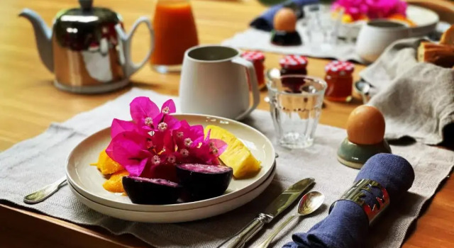 Номер Standard Habitation Caféière Samana Beauséjour