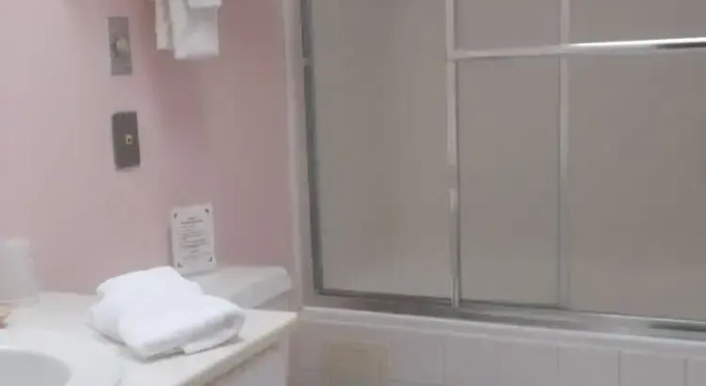 Двухместный люкс Standard Century Suites Hotel