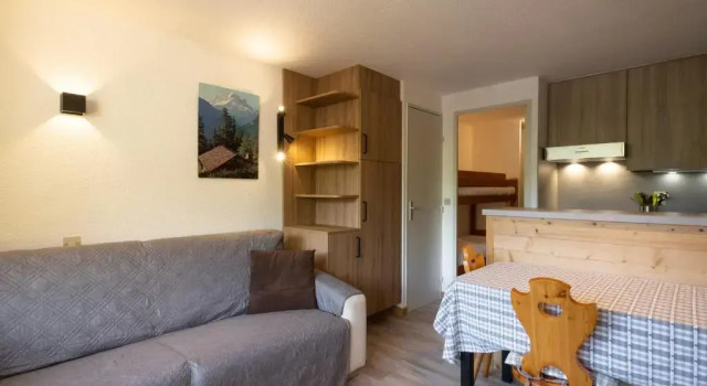 Appartement La Clusaz, 1 pièce, 4 personnes - FR-1-304-254, Забронировать Апартаменты/квартира Ла-Клюза Лыжный курорт на озере Анси, рядом с Плавательный бассейн Aravis