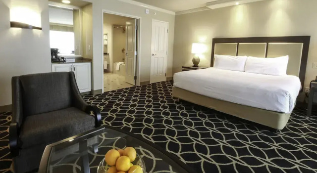 Двухместный полулюкс Hollywood Casino & Hotel St. Louis