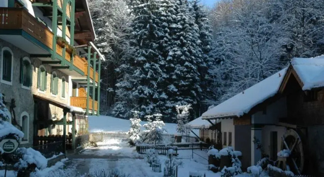 Naturidyll Hotel Hammerschmiede, Reserva ahora Hotel Hoteles SPA en Flachgau, SPA