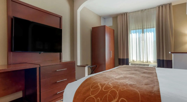 Четырёхместный люкс Comfort Suites Daphne - Mobile East Bay