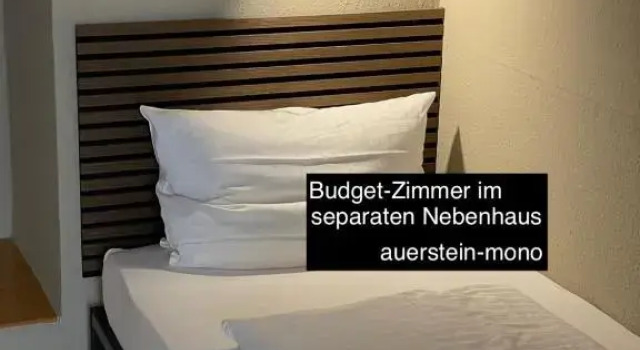 Номер Economy AUERSTEIN-Hotels auerstein & auerstein-mono