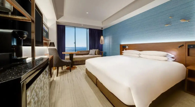 Двухместный номер с видом на океан Hyatt Regency Tokyo Bay