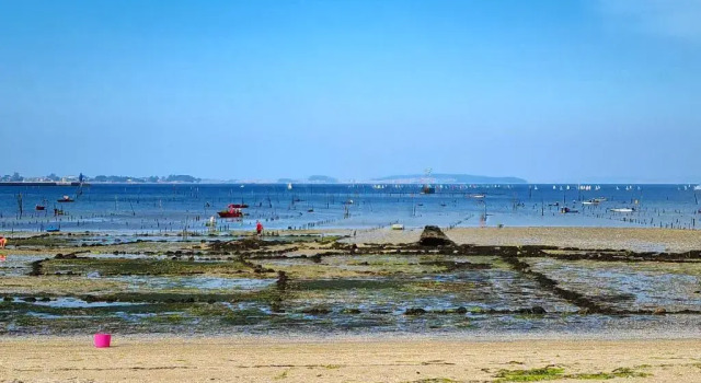 Апартаменты Vistas a la Ría de Arousa