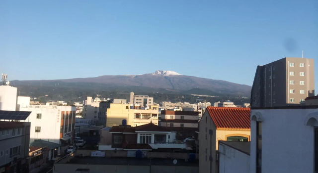 Номер Standard Jeju Mimong