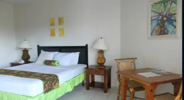 Одноместный номер Superior с балконом и с видом на сад Coyaba Beach Resort