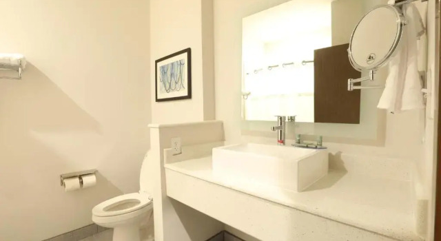 Номер Standard Best Western Green Oak Inn & Suites