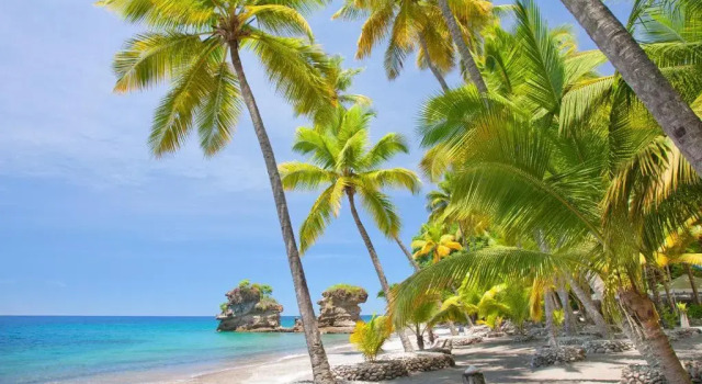 Camera Standard Anse Chastanet Resort