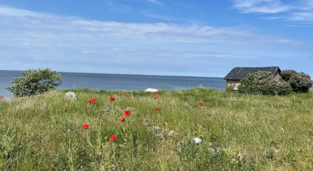 Коттедж 5 Star Holiday Home in Lottorp
