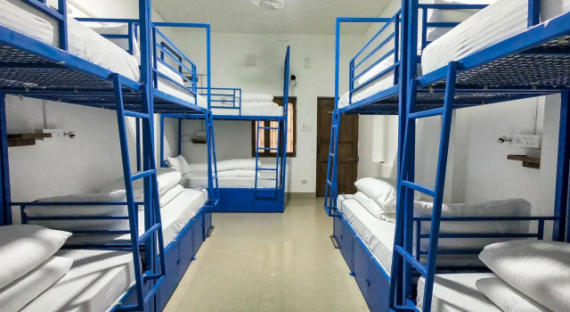 Кровать в общем номере Live Free Hostel Varanasi