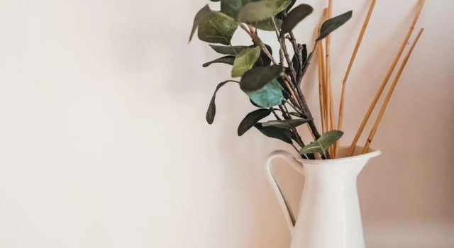 Tetti bianchi - DeVa's suite home