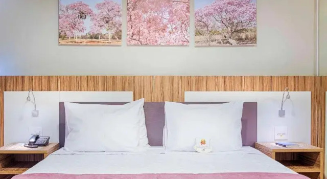 ibis Styles Confins Aeroporto, Забронировать Отель Лагоа-Санта Минас-Жерайс