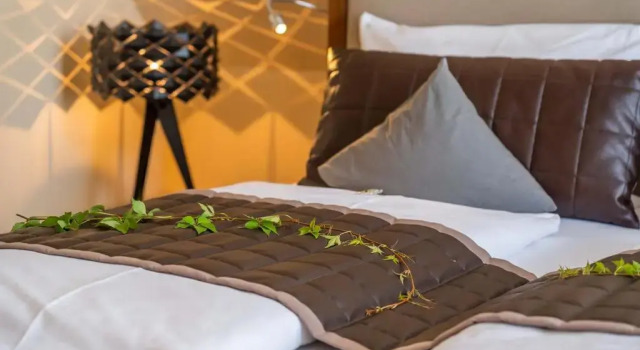 Студия Boutiquehotel zur Winzerstube