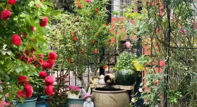 Yongding  Coffee Garden B&B, Prenota Bed & breakfast Longyan Monte Fuji