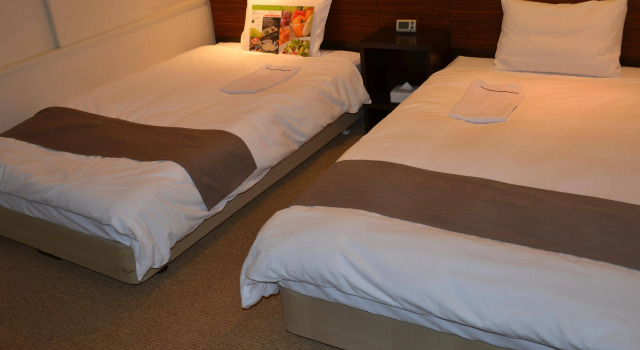 Art Hotel Niigata Station