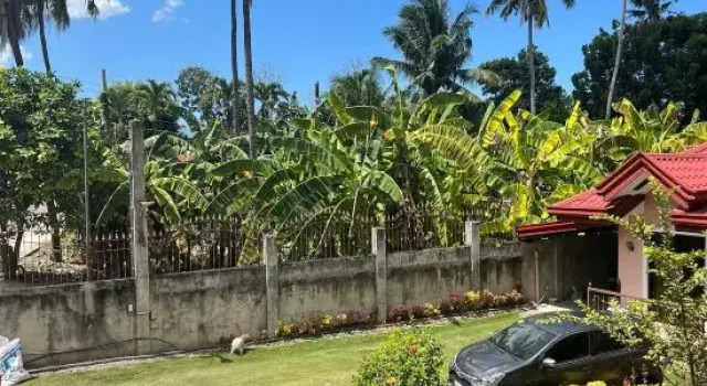 Sangi Tourist Inn near Kawasan Badian Canyoneering, Book Hotel Badian Cebu