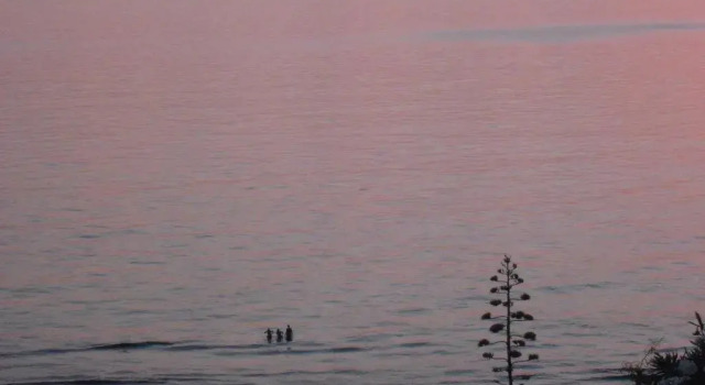Коттедж с 2 комнатами с видом на сад Near The Sea