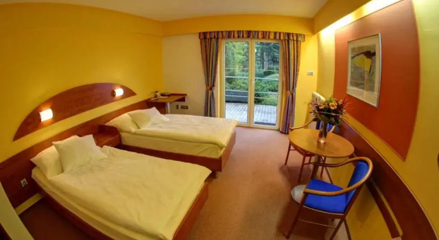 Двухместный номер Standard Hotel Břízky
