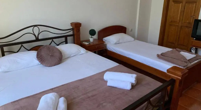 Апартаменты c 1 комнатой Guesthouse Orlović