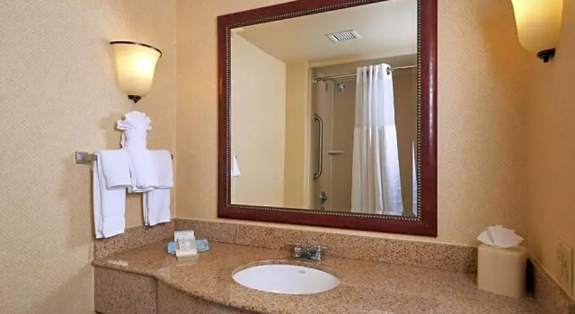 Номер Premium Hilton Garden Inn Newport News