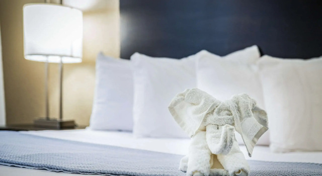 Двухместный номер Standard Econo Lodge Cleveland Southeast - Kent