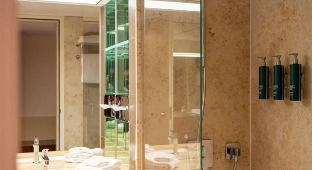 Номер Standard Hilton Frankfurt Gravenbruch