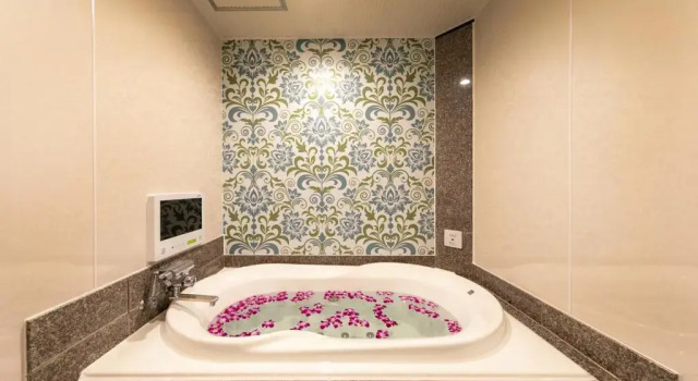 Номер Deluxe HOTEL ELDIA