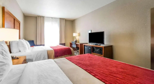 Четырёхместный номер Standard Comfort Inn & Suites