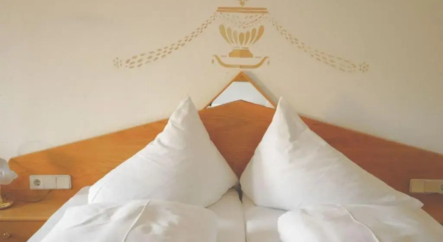 Двухместный номер Standard Hotel Pfleger