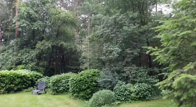 Бунгало De Hooge Woeste