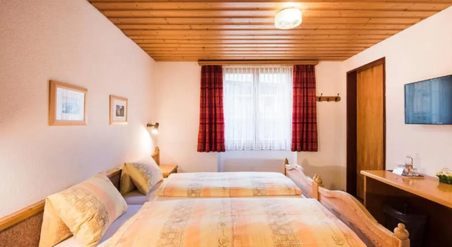 Номер Economy Hotel Brienzerburli