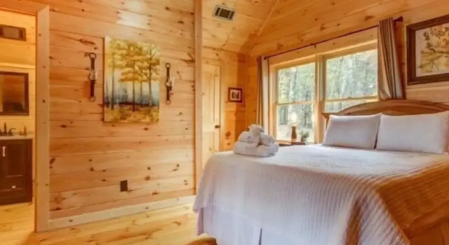 Sky Lane, Boek Vakantiehuis Blue Ridge 