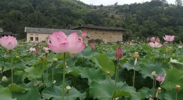 Yunshui Yaotianfa Homestay, Book Hotel Zhangzhou Fujian