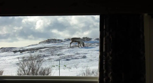 Номер Superior Vadsø Fjordhotell