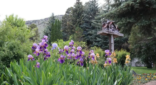 Номер Standard Lake View Lodge