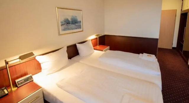 Двухместный номер Economy HOTEL IM PARK