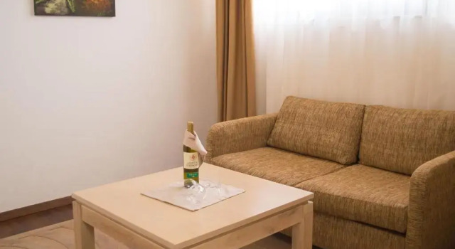 Апартаменты c 1 комнатой с балконом Winslow Infinity Aparthotel