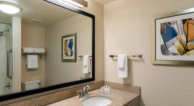 Двухместная студия Fairfield Inn & Suites by Marriott Atlanta Stonecrest