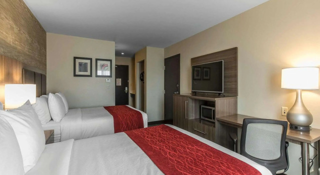 Четырёхместный номер Standard Comfort Inn & Suites Airport North