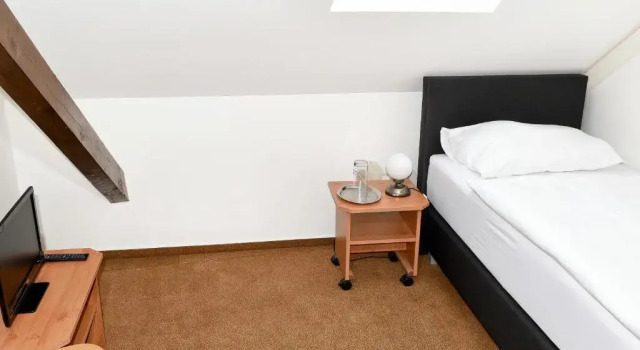 Номер Standard Hotel Bílý Koníček