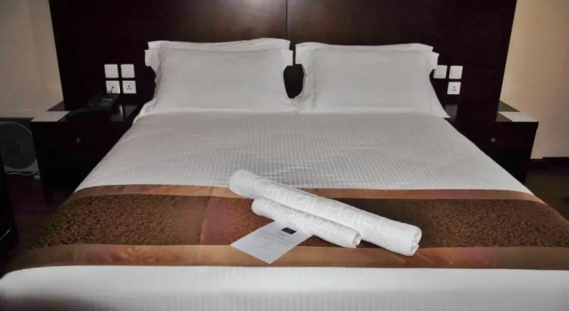 Одноместный номер Standard Central Hotel Tana