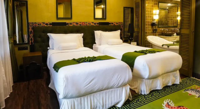 Camera Standard Druk Hotel