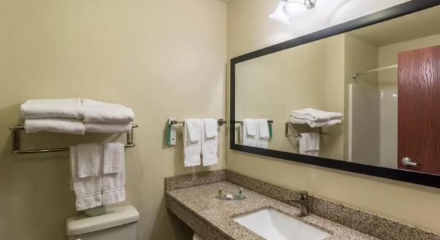 Номер Standard Cobblestone Hotel & Suites - Torrington