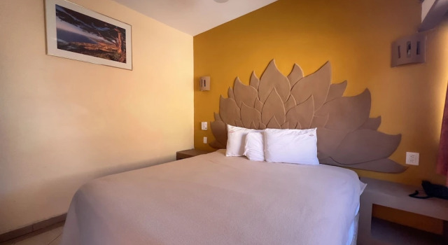 Номер Standard Hotel Oasis