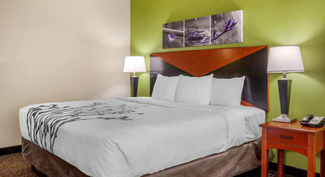 Двухместный люкс Sleep Inn & Suites Milwaukee Airport