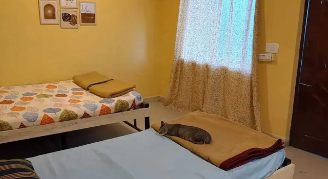 Vattakanal Homestays