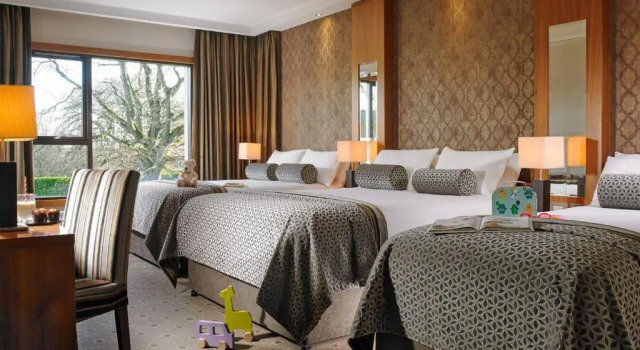 Номер Superior Newpark Hotel